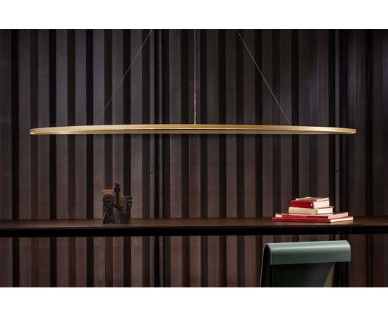 Подвесной светильник Nemo Ellisse pendant minor, фото 4