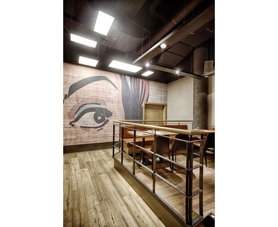 Подвесной светильник Prolicht PI² suspended, фото 3