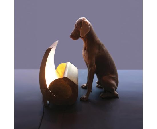 Настольный светильник Nemo ESCARGOT, фото 3