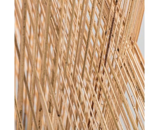 Подвесной светильник Becara Darwin ceiling lamp, фото 2