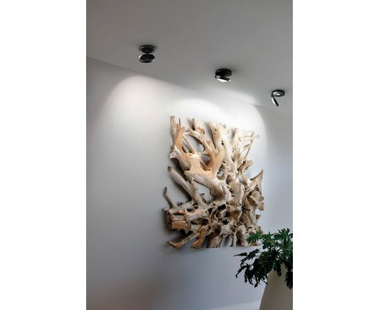 Потолочный светильник Studio Italia Design Nautilus Ceiling, фото 9