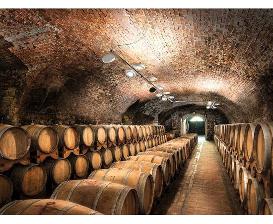 Подвесной светильник Studio Italia Design Nautilus pendant, фото 5