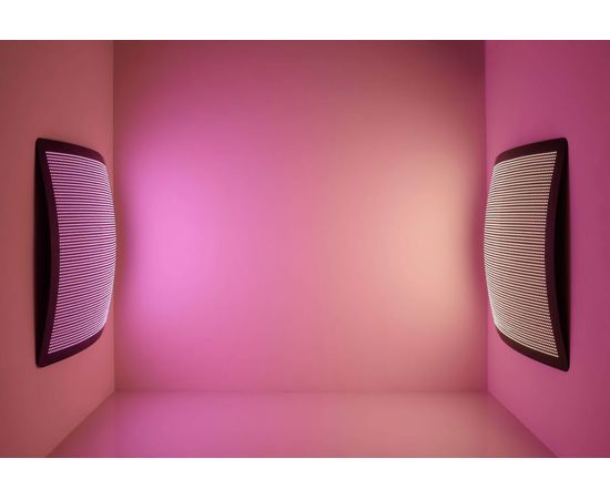 Настенно-потолочный светильник Aqua Creations Manta Ray Wall &amp; Ceiling Light, фото 2