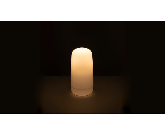 Настольный светильник Artemide Gople Portable, фото 3