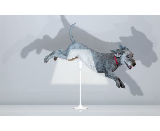 Настольный светильник Innermost YOYLight, фото 4