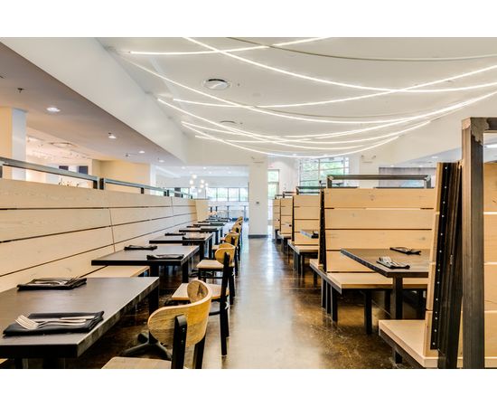 Подвесной светильник Luke Lamp Co. Tracer Loop DIRECT TO CANOPY, фото 14