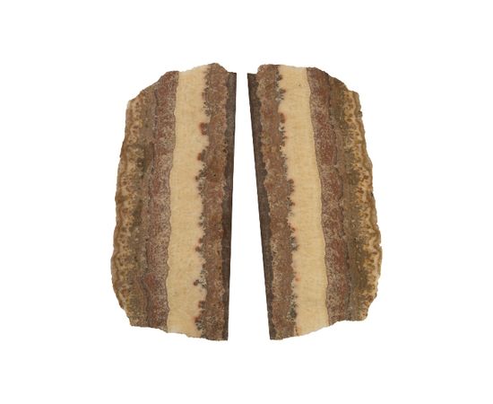 Настенный светильник Philips Collection Onyx Butterfly Sconce, фото 3