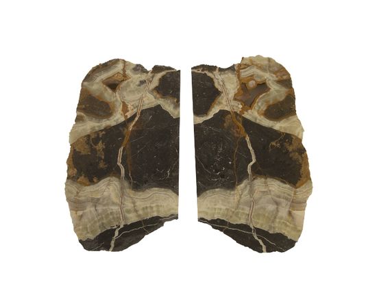 Настенный светильник Philips Collection Onyx Butterfly Sconce, фото 4