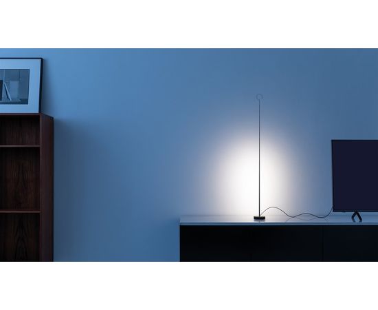 Напольнный светильник Davide Groppi ANIMA, фото 12