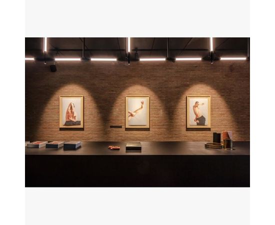 Потолочный светильник Delta Light XY180 S120 MINI, фото 9