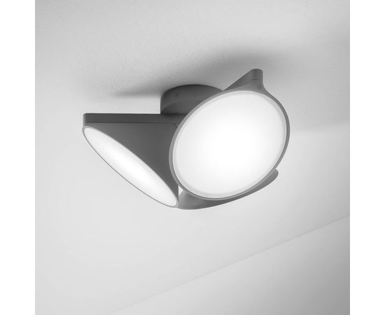 Потолочный светильник Axolight Orchid PL, фото 4