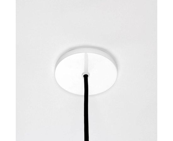 Подвесной светильник Roll &amp; Hill Bluff City 14 inch, фото 2