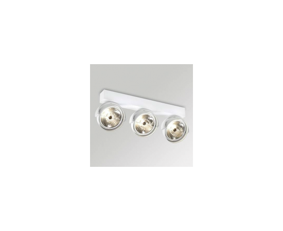 Настенно-потолочный светильник Delta Light RAND 311 T50, фото 1