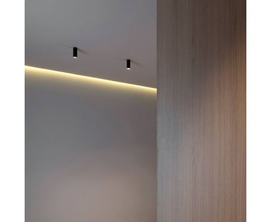 Потолочный светильник Arkoslight SCOPE 21 SURFACE, фото 3