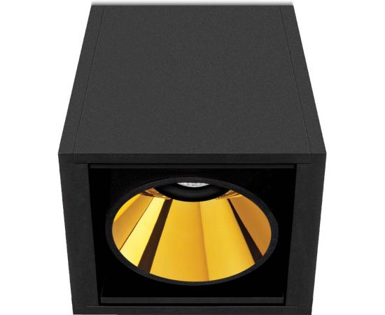 Потолочный светильник Arkoslight BLACK FOSTER SURFACE 1, фото 1