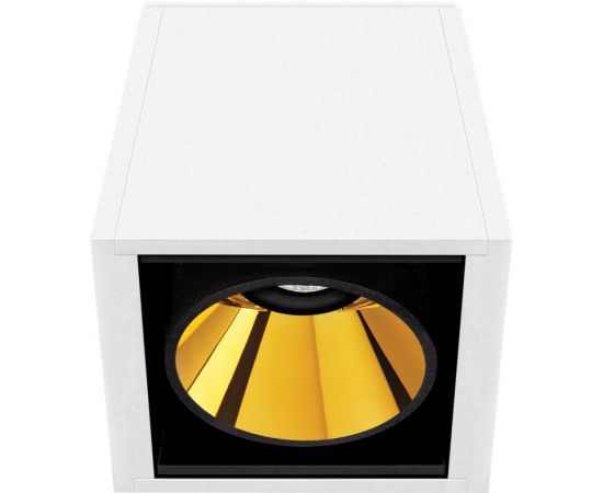 Потолочный светильник Arkoslight BLACK FOSTER SURFACE 1, фото 8