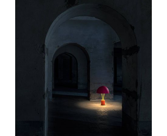 Настольный светильник Catellani &amp; Smith Ale BIG, фото 5