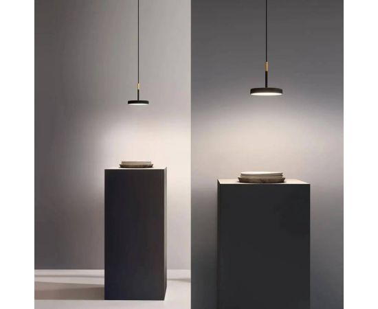 Подвесной светильник Olev OVERFLY, фото 5