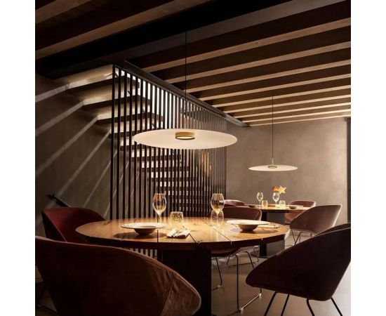 Подвесной светильник Olev OVERFLY PLUS 55, фото 2