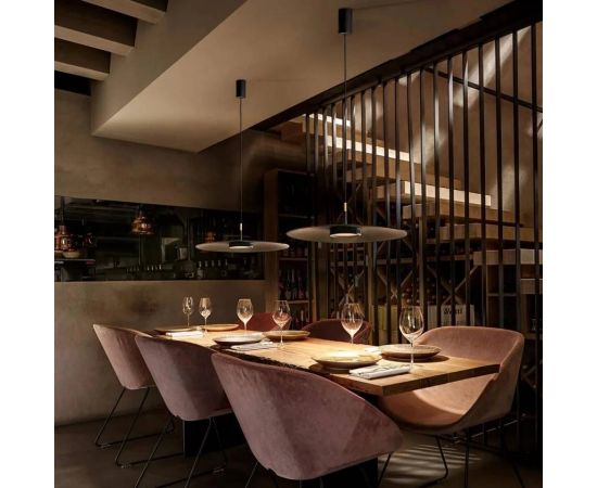 Подвесной светильник Olev OVERFLY PLUS 55, фото 4