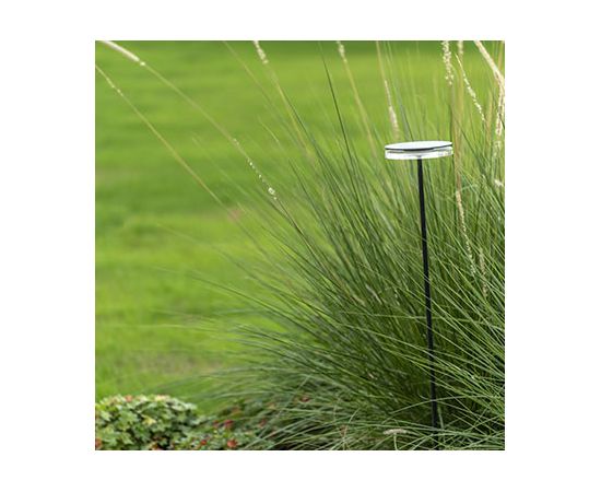 Уличный светильник Platek Chiodo 600, фото 2