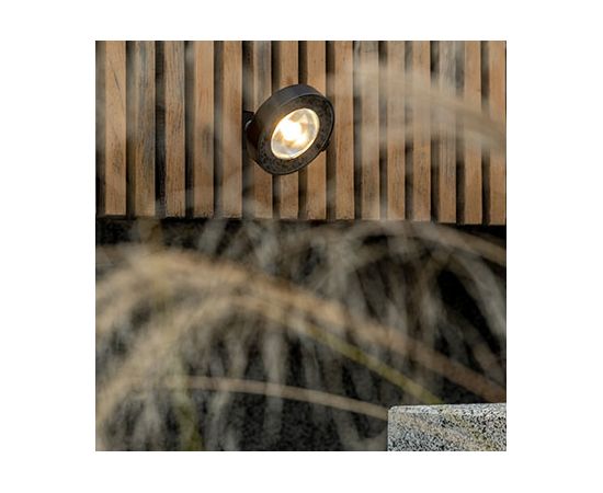 Уличный светильник Platek Frog Proiettore, фото 2