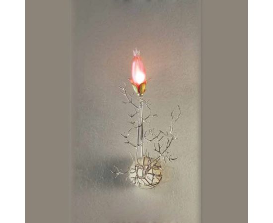 Настенный светильник Patrizia Volpato Erica 4061/APP1, фото 1