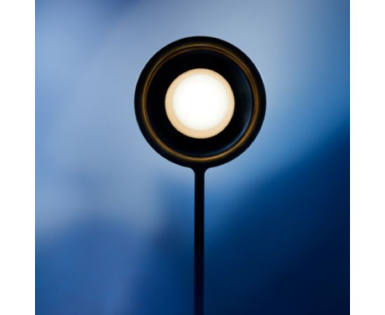 Настольный светильник Lasvit Gemini, фото 3