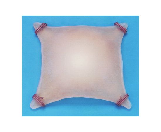 Настенно-потолочный светильник Leds C4 Cairo 81507038401, фото 1