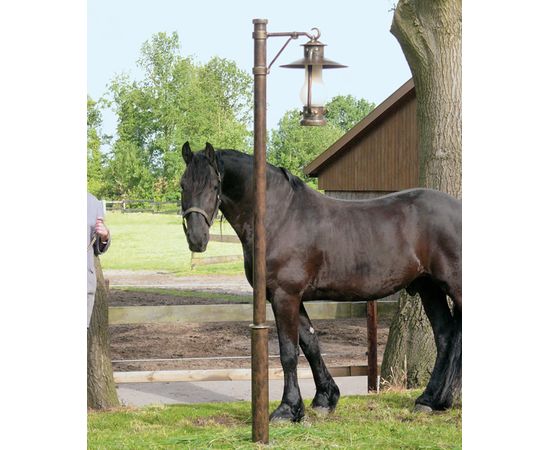 Уличный фонарь Robers AL 6667, фото 1