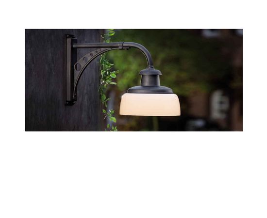 Настенный светильник Robers WL 3635, фото 1