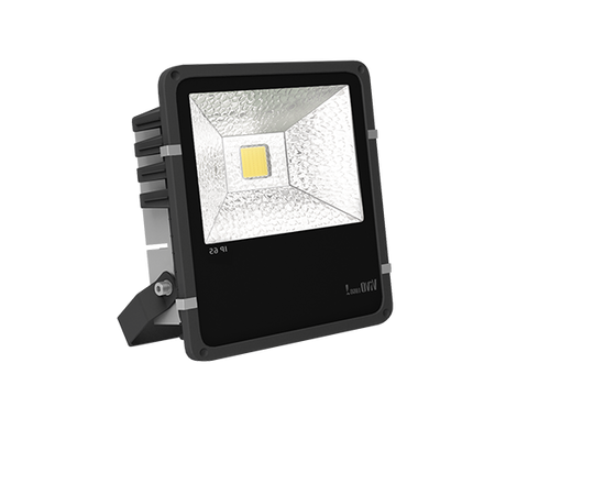 Уличный прожектор Vivo Luce Calando 2 LED 50, фото 1