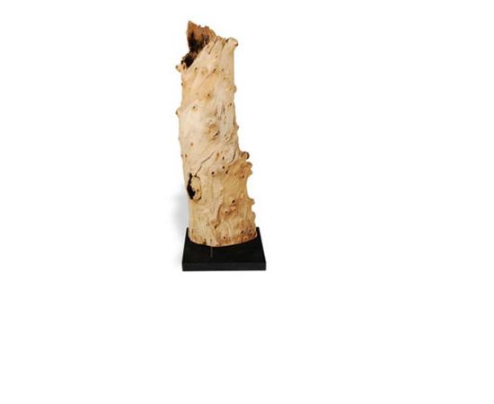 Напольный светильник Philips Collection Driftwood Lamp, LG, фото 1