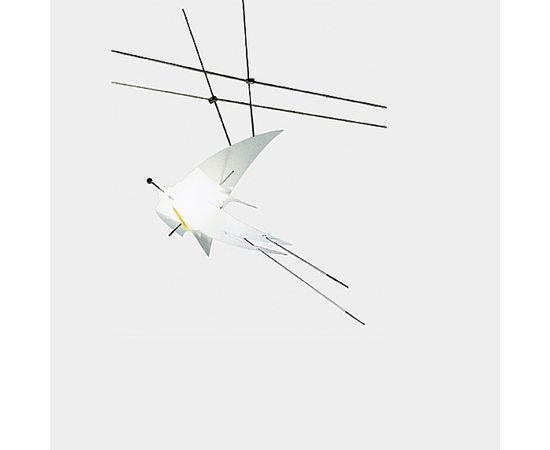 Трековый светильник Oligo Light-Line CHARLES, фото 1