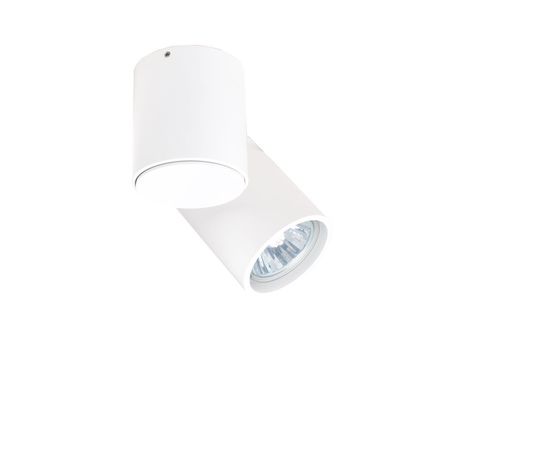Потолочный светильник Donolux A1594-White, фото 1