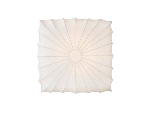 Потолочный светильник Donolux C111011/2S, фото 1