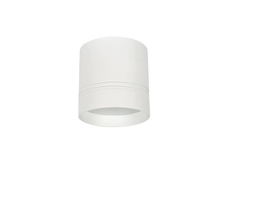 Потолочный светильник Donolux DL18482/WW-White R, фото 1