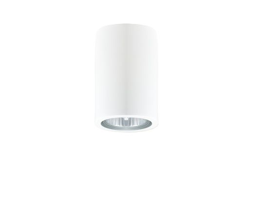 Потолочный светильник Donolux N1594-White, фото 1