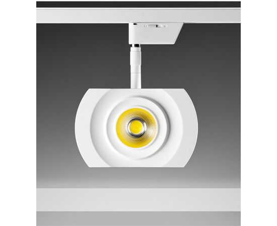 Трековый светодиодный светильник Oligo Oligo NEWTON, фото 1