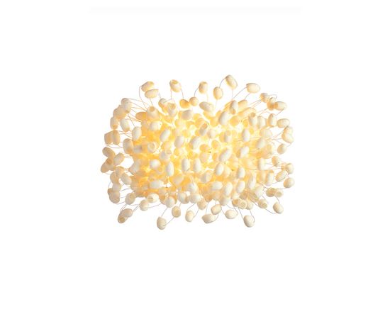 Настенный светильник Ango Chrysalis Wall WL04001, фото 1