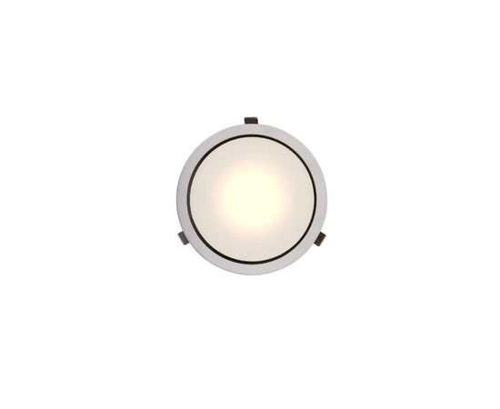 Встраиваемый светодиодный светильник downlight Ферекс ДВО 01-22-50, фото 1
