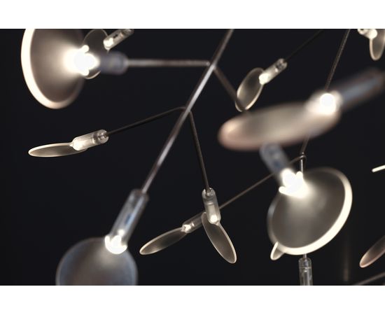 Подвесной светильник Moooi Heracleum II Small, фото 3