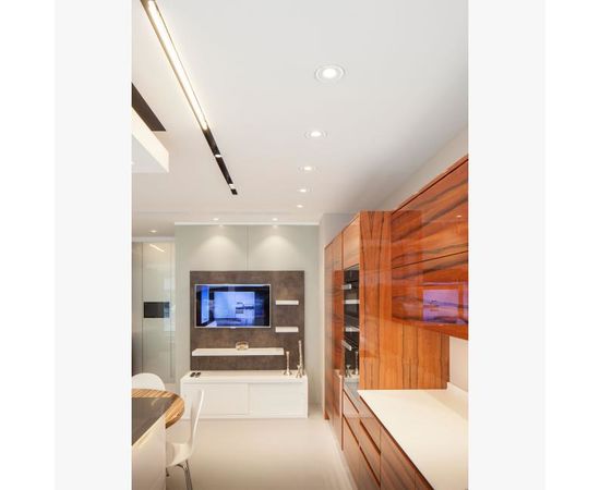 Встраиваемый в потолок светильник Delta Light TWEETER TRIMLESS FRL 827, фото 2