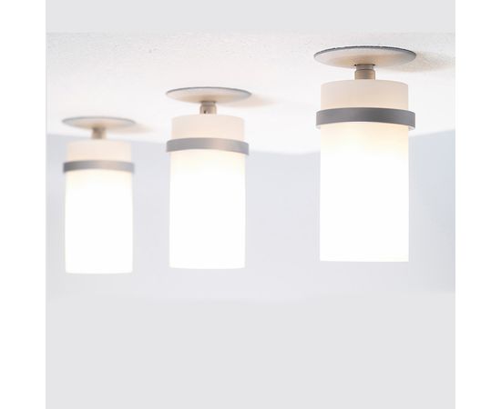 Oligo BENE DICT, фото 3