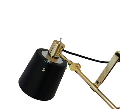 Delightfull PASTORIUS WALL, фото 3