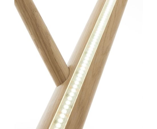 Напольный светильник Facon de Venise WILDLIGHT TR, фото 3