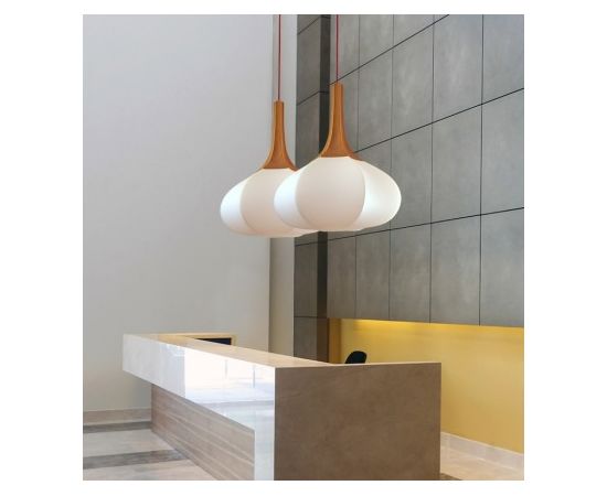 Подвесной светильник Eltorrent SWELL, фото 2