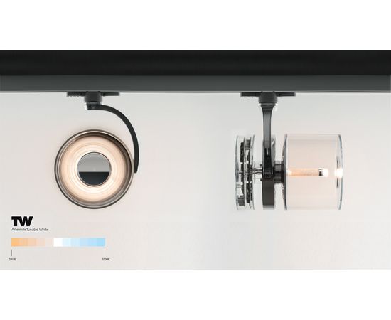Трековый светодиодный светильник Artemide Architectural Cata Track Tunable White, фото 2