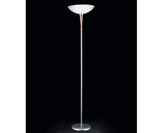 Напольный светильник Zonca 4261, фото 1
