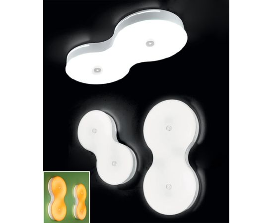 Настенно-потолочный светильник Zonca 31007, 31006, фото 1